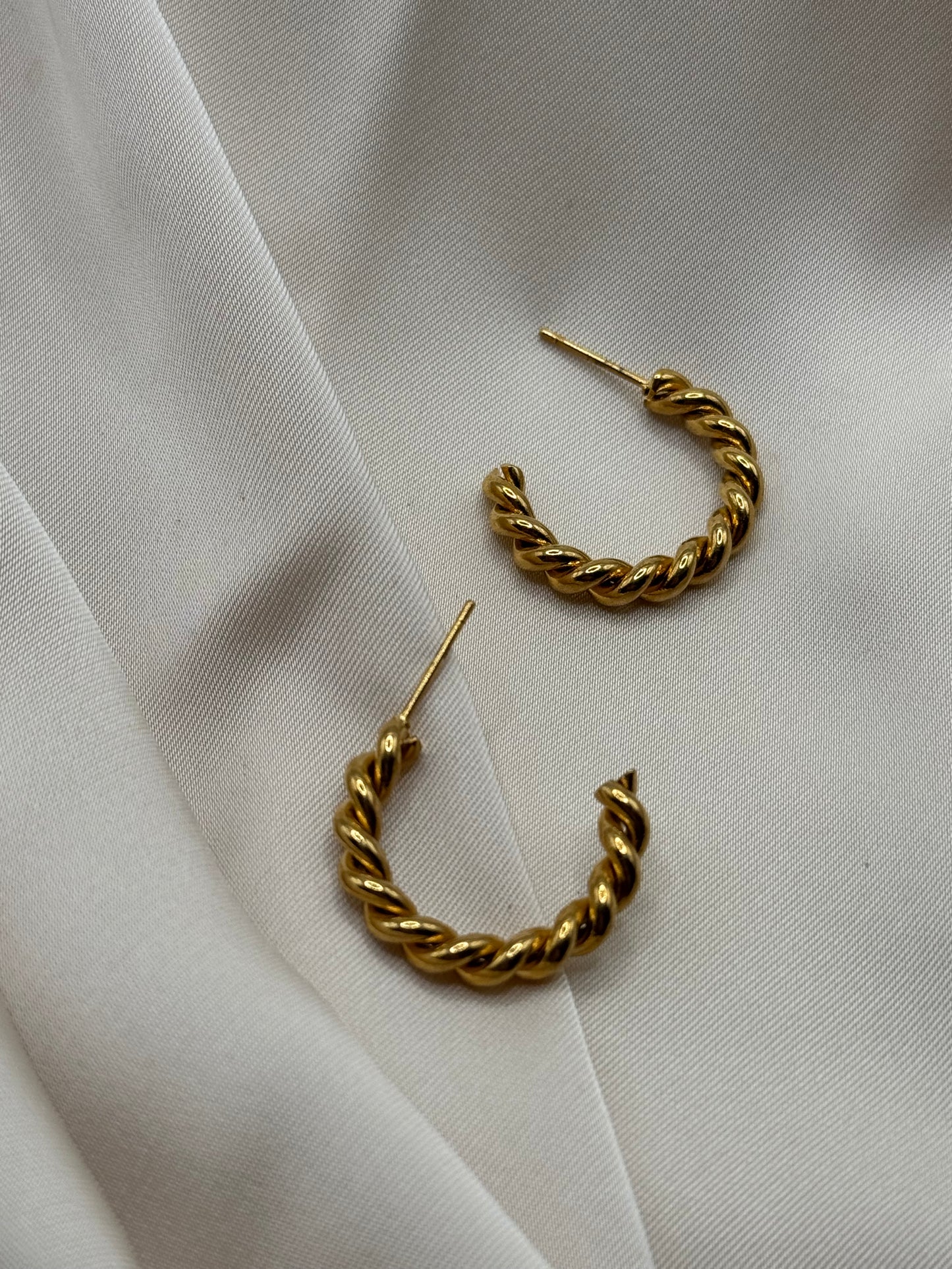 Plexi earrings