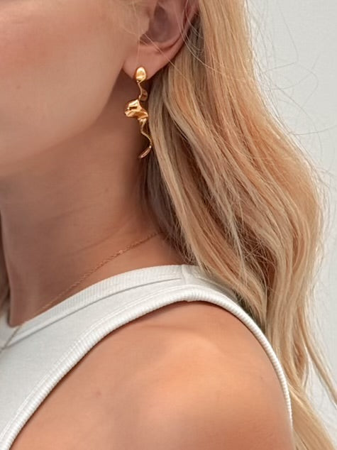 Anna Maria’s earrings