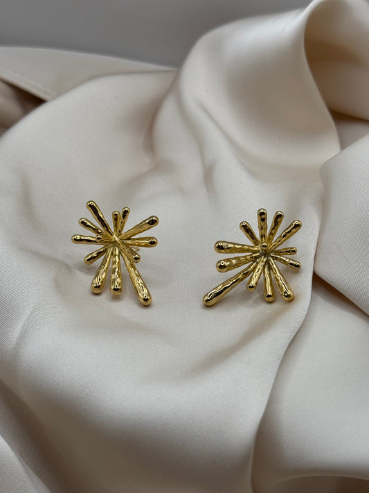 Boom earrings