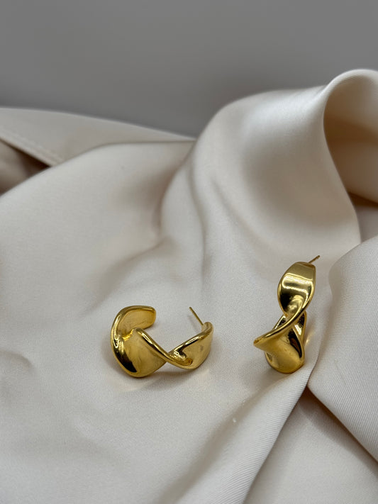 Jacherina’s earrings