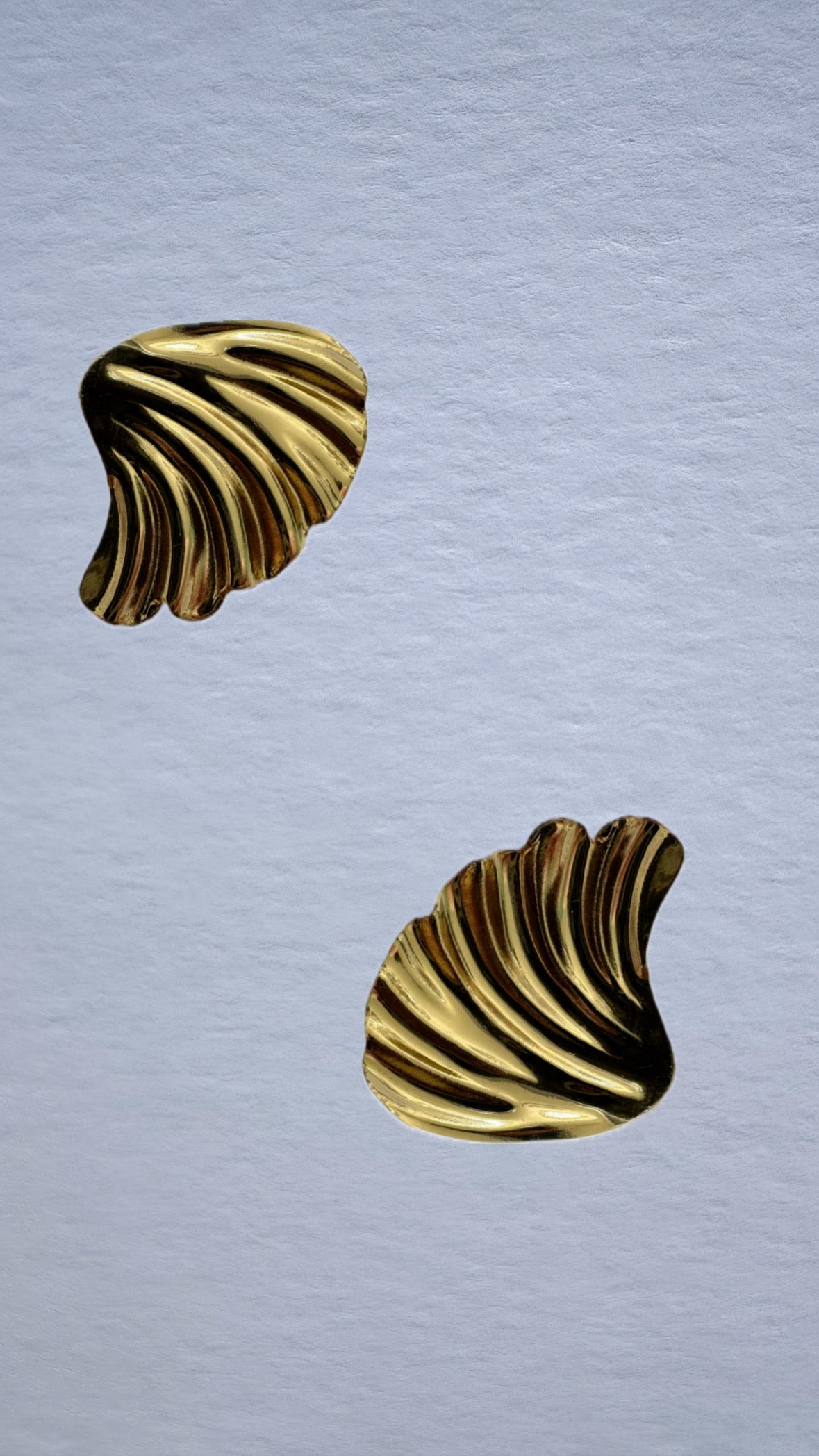 Shelly's earrings