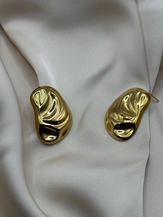 Berry’s earrings