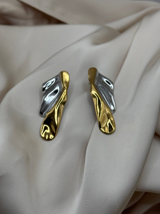 Wings earrings
